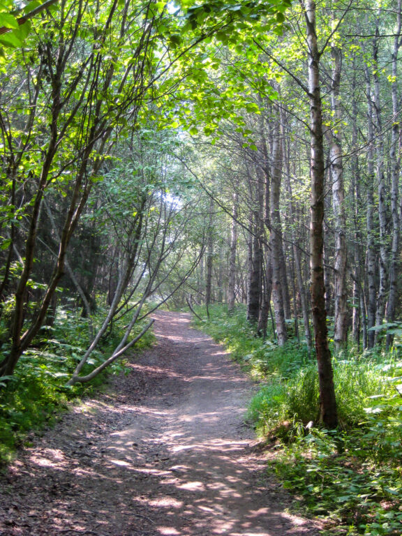 Kincaid Park - 2009