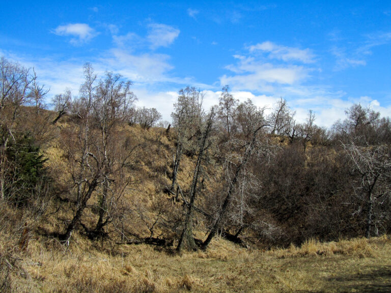Kincaid Park - 2010