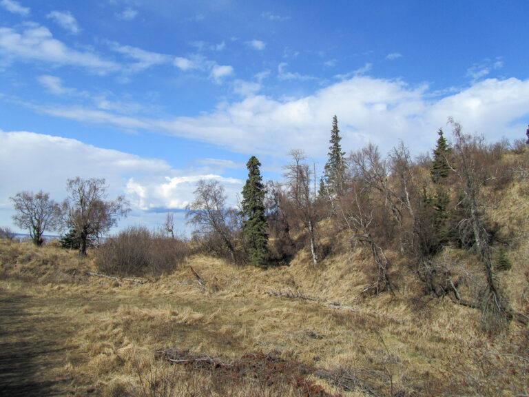 Kincaid Park - 2010