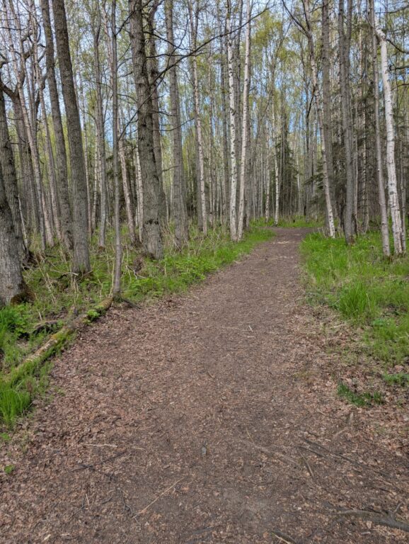 Kincaid Park - May 2026