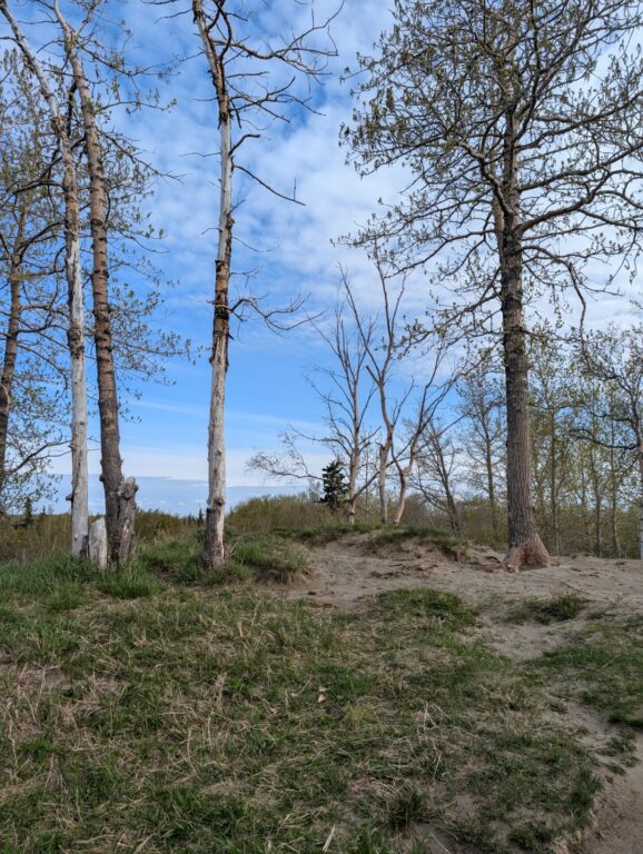 Kincaid Park - May 2026