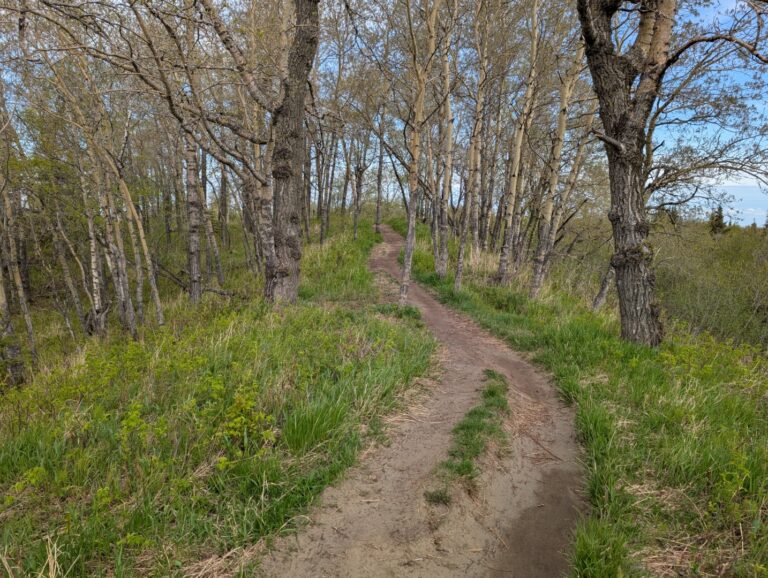 Kincaid Park - May 2026