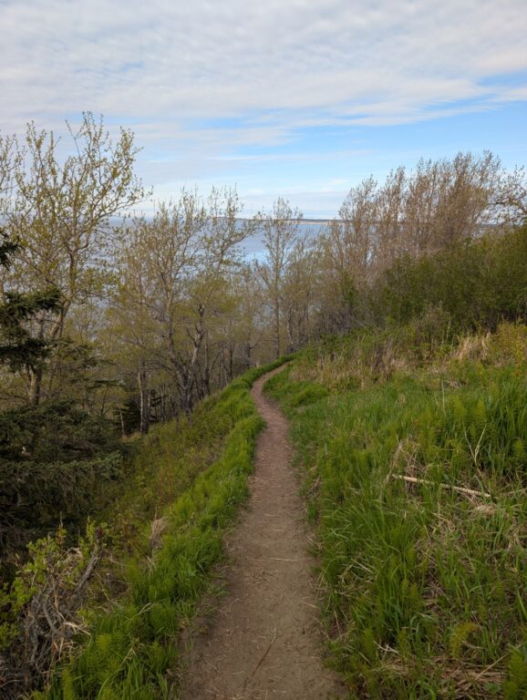 Kincaid Park - May 2026