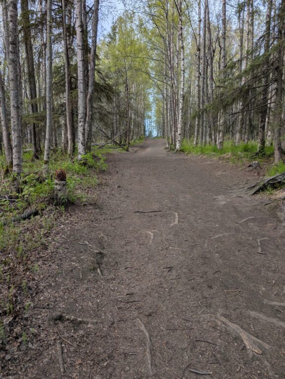 Kincaid Park - May 2026