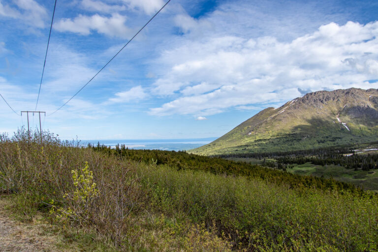 Little O'Malley Peak Trail - 2024