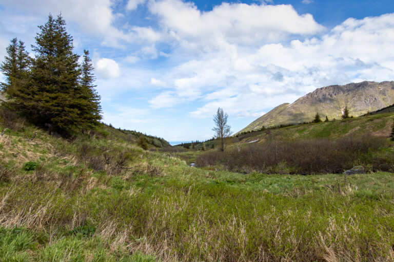 Little O'Malley Peak Trail - 2024