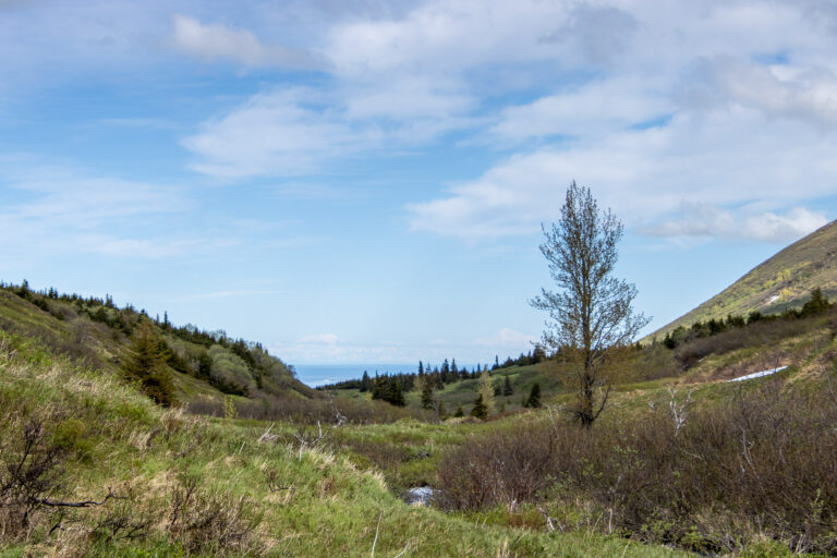 Little O'Malley Peak Trail - 2024
