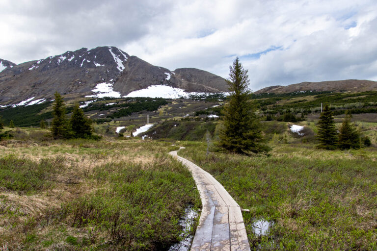 Little O'Malley Peak Trail - 2024