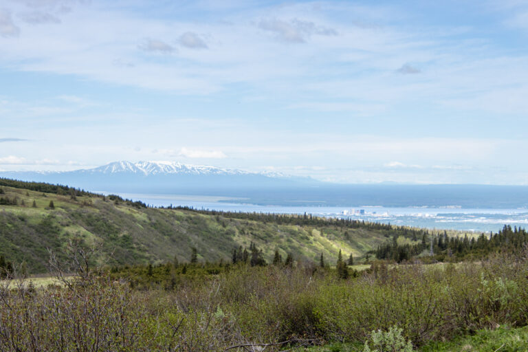 Little O'Malley Peak Trail - 2024
