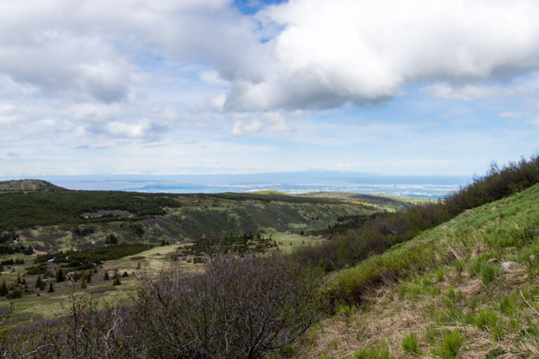Little O'Malley Peak Trail - 2024