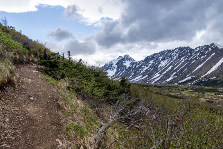 Little O'Malley Peak Trail - 2024
