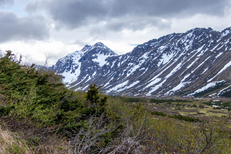 Little O'Malley Peak Trail - 2024