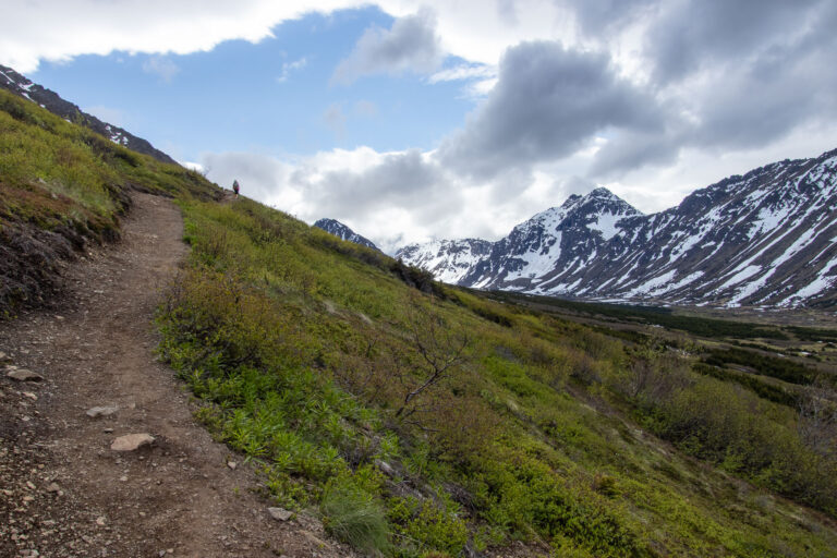 Little O'Malley Peak Trail - 2024