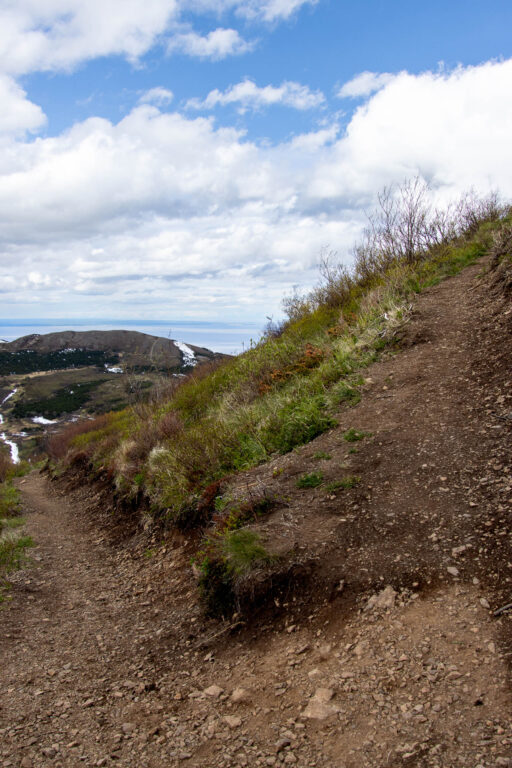 Little O'Malley Peak Trail - 2024