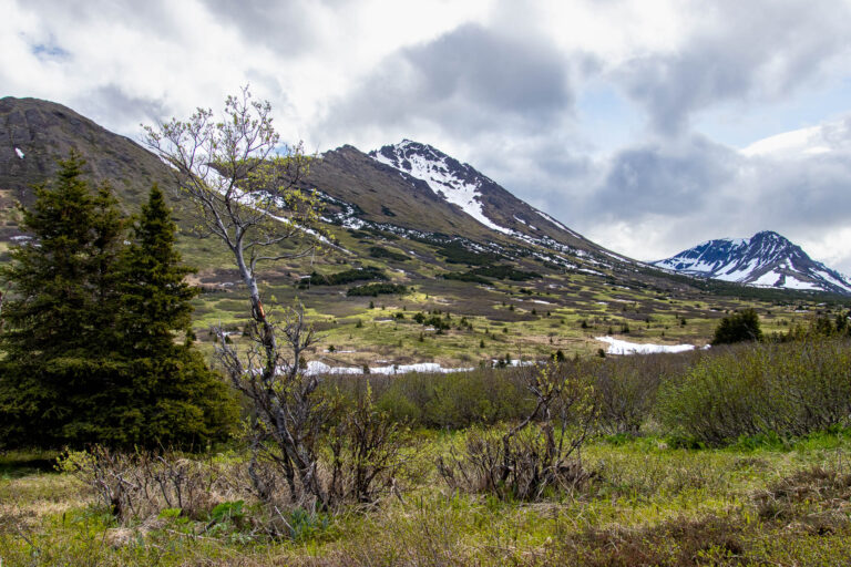 Little O'Malley Peak Trail - 2024