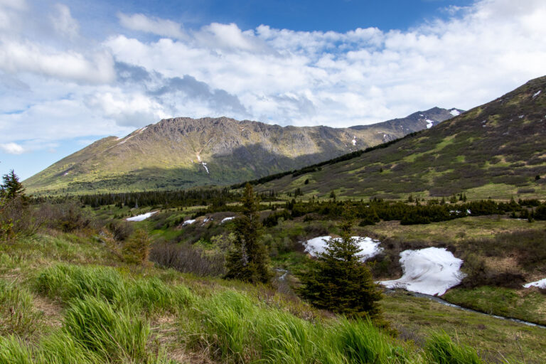 Little O'Malley Peak Trail - 2024