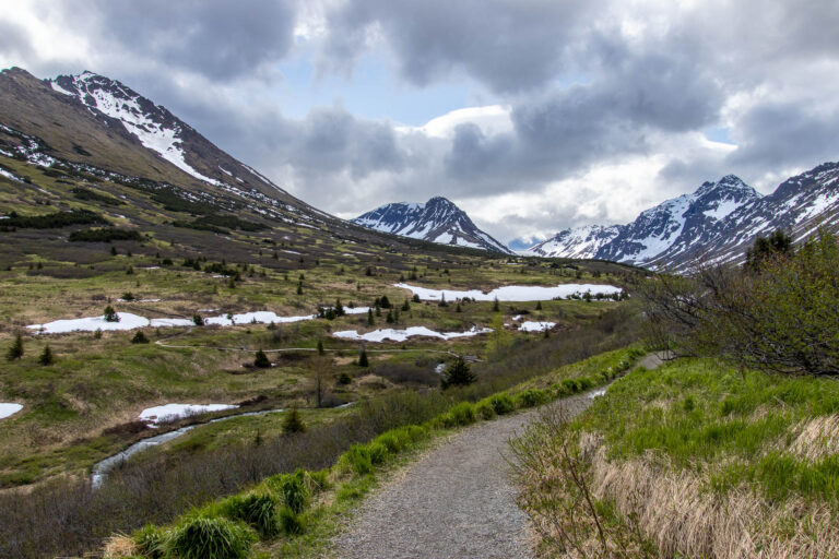 Little O'Malley Peak Trail - 2024