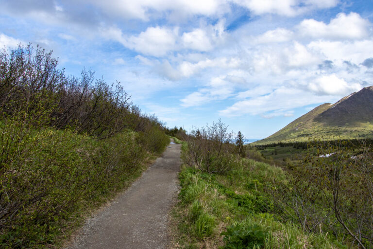 Little O'Malley Peak Trail - 2024