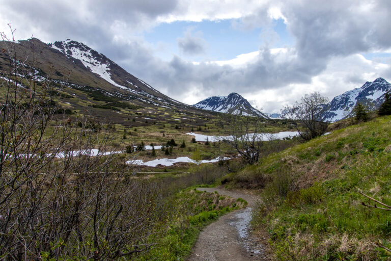 Little O'Malley Peak Trail - 2024