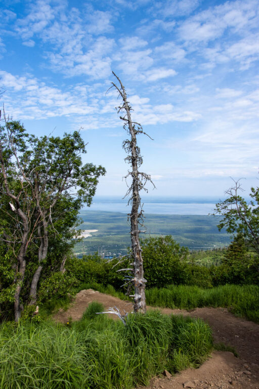 Mount Baldy - 2024