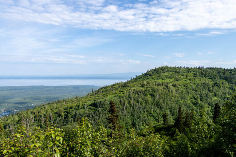 Mount Baldy - 2024