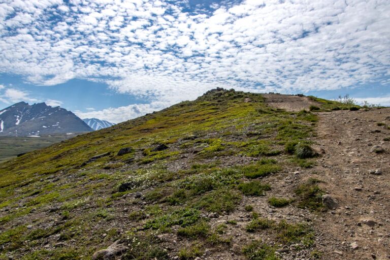 Mount Baldy - 2024