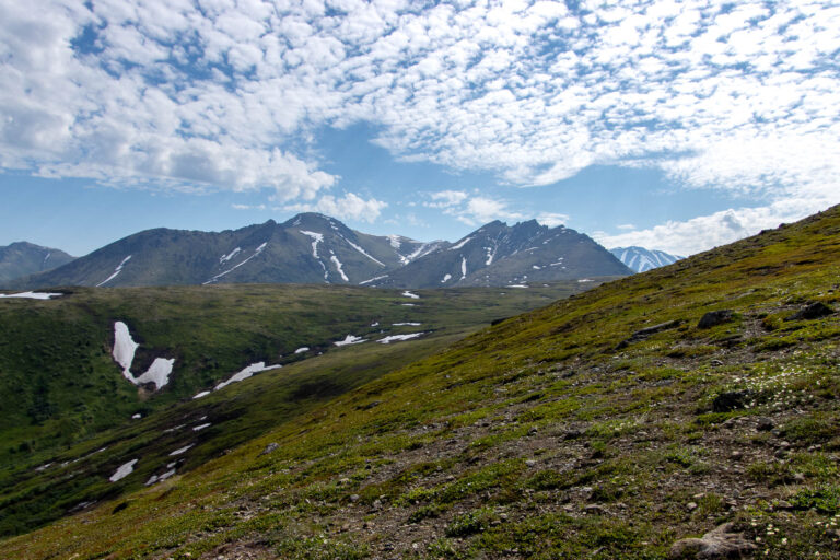 Mount Baldy - 2024
