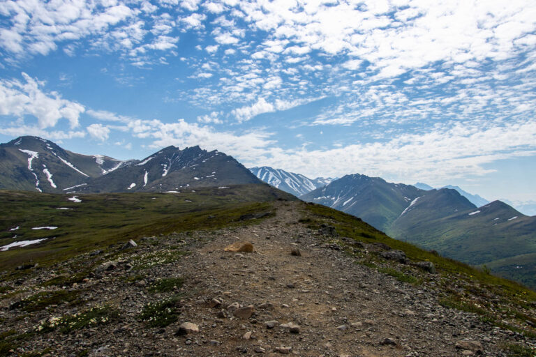 Mount Baldy - 2024