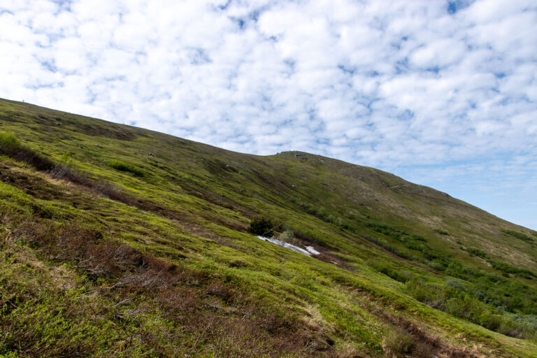 Mount Baldy - 2024