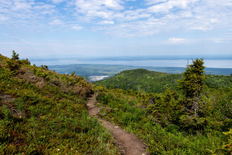 Mount Baldy - 2024