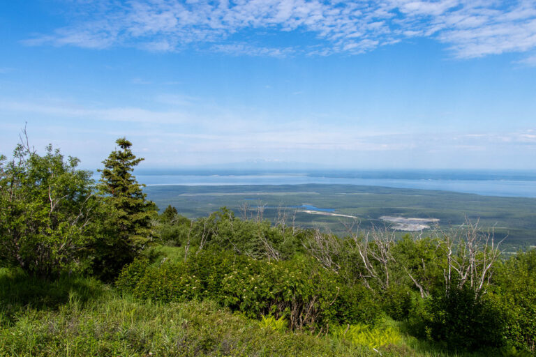 Mount Baldy - 2024