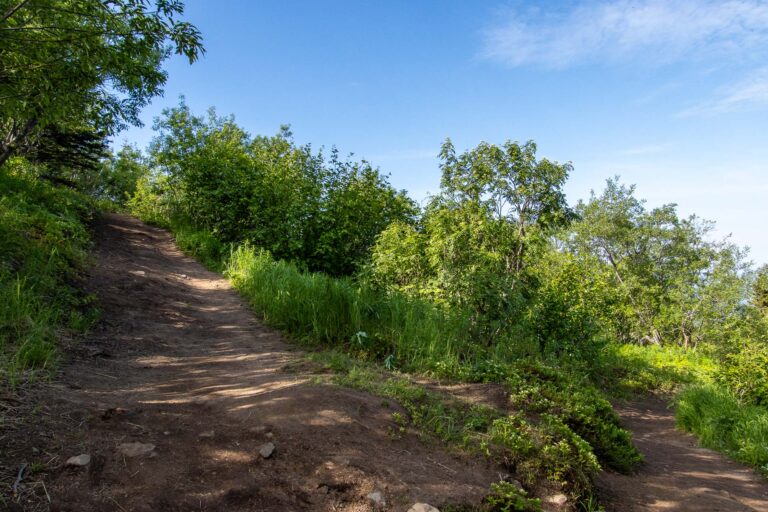 Mount Baldy - 2024