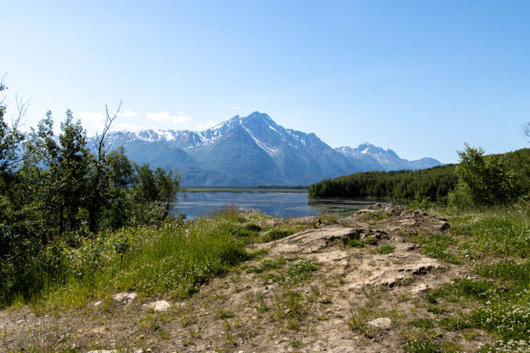 Mud Lake - 2024