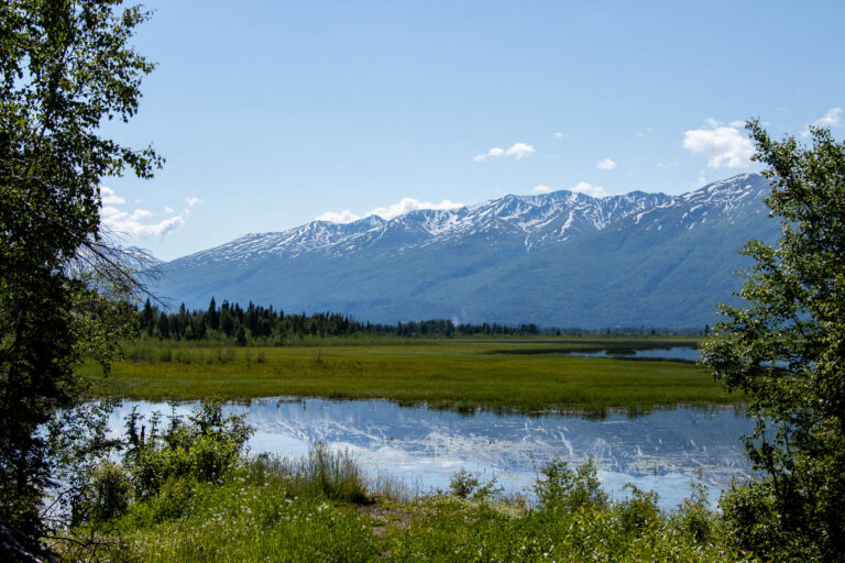 Mud Lake - 2024