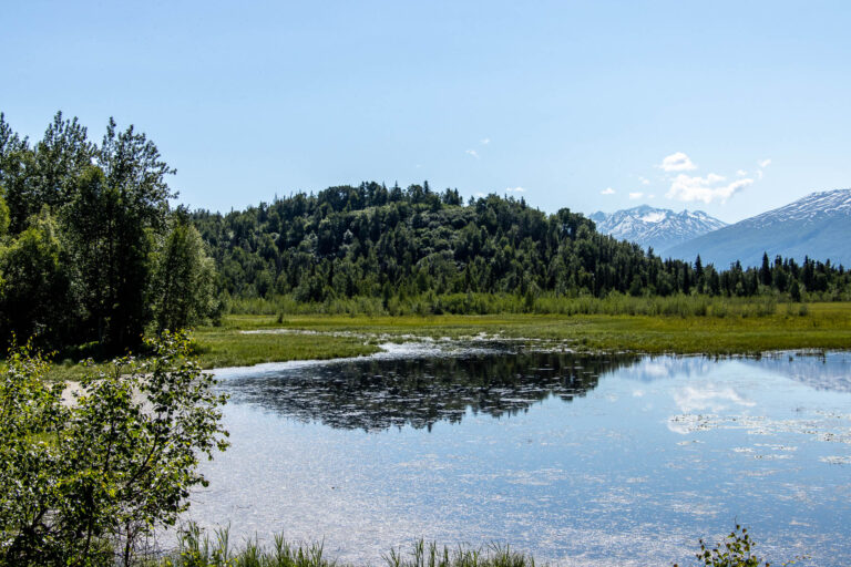 Mud Lake - 2024