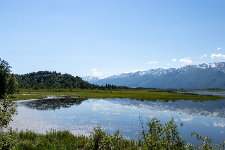 Mud Lake - 2024