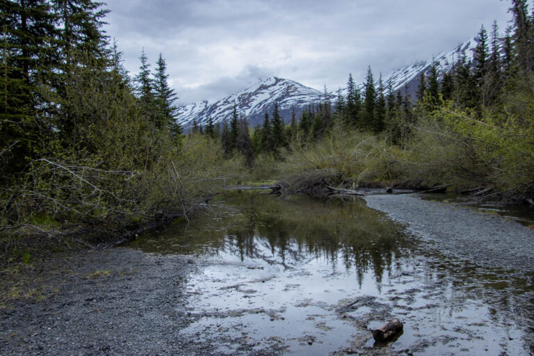 North Fork Trail - 2024