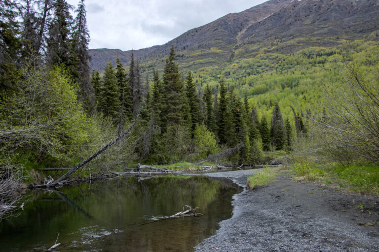 North Fork Trail - 2024