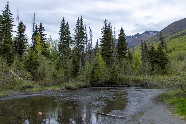 North Fork Trail - 2024