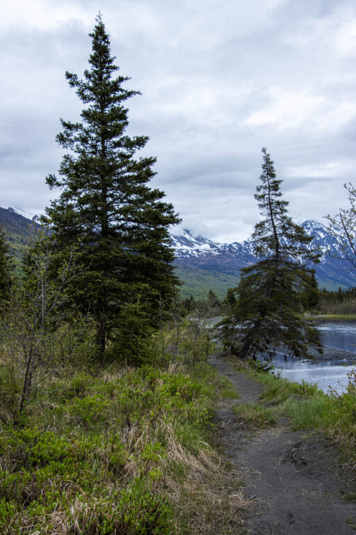 North Fork Trail - 2024