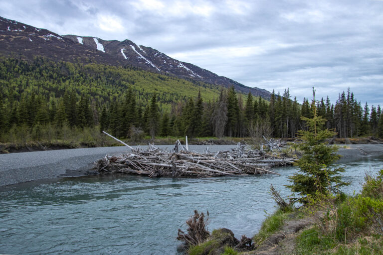 North Fork Trail - 2024