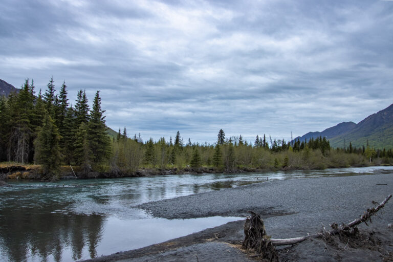 North Fork Trail - 2024