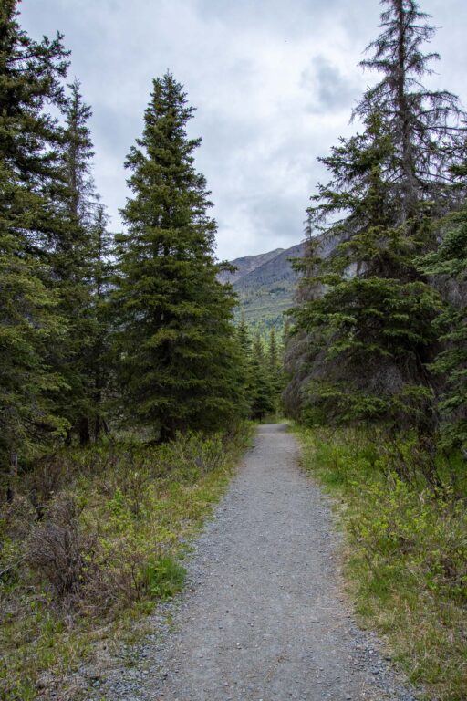North Fork Trail - 2024