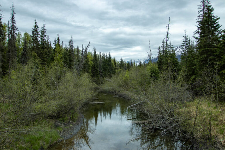 North Fork Trail - 2024