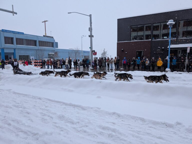 Iditarod Ceremonial Start - 2026