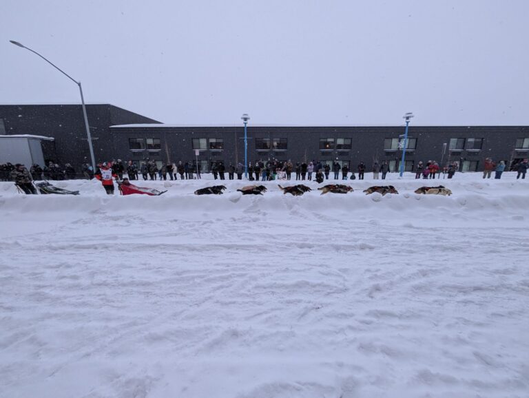 Iditarod Ceremonial Start - 2026