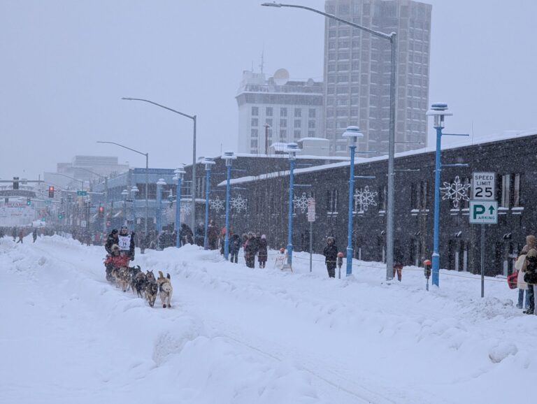 Iditarod Ceremonial Start - 2026