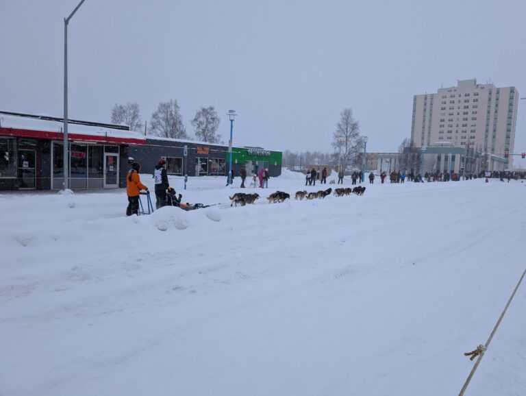 Iditarod Ceremonial Start - 2026