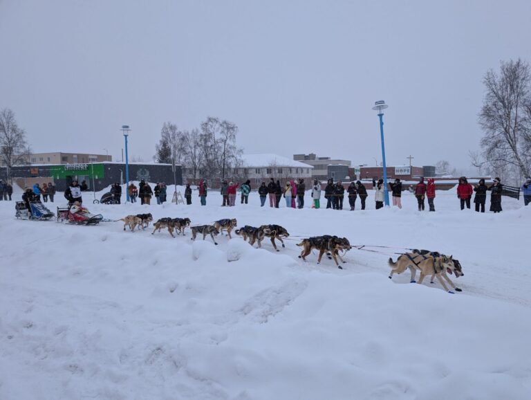 Iditarod Ceremonial Start - 2026