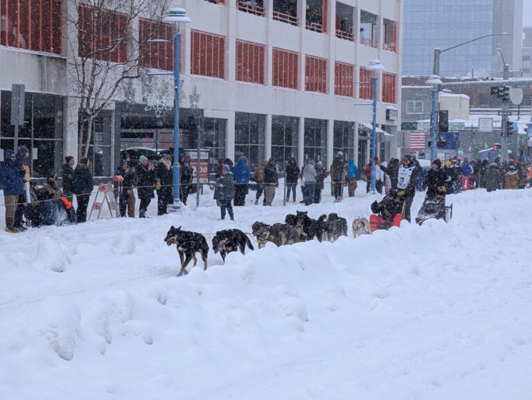 Iditarod Ceremonial Start - 2026